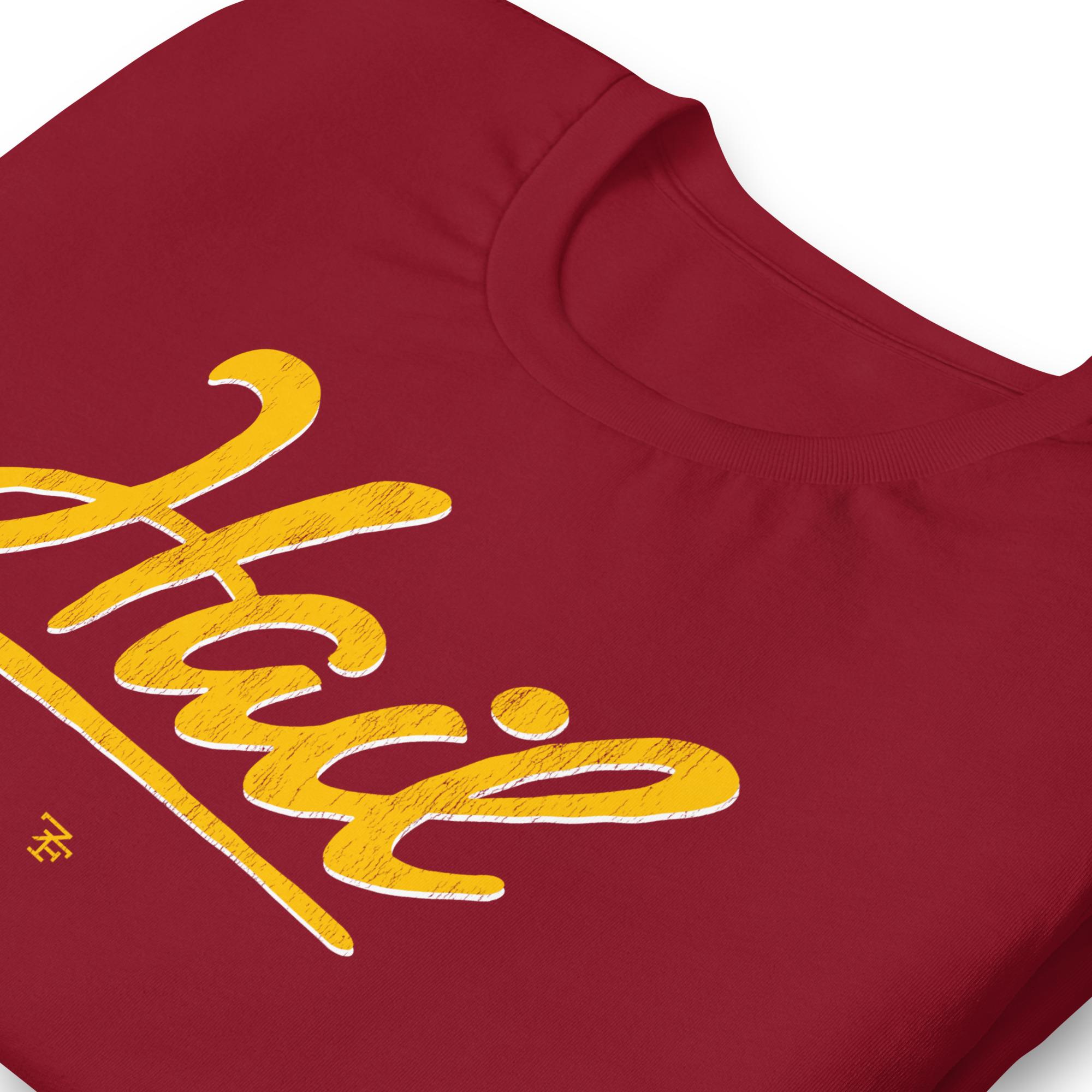 Hail Washington Football T-Shirt - Burgundy